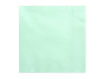 Picture of NAPKINS 3 LAYER MINT 33X33CM  - 20 PACK